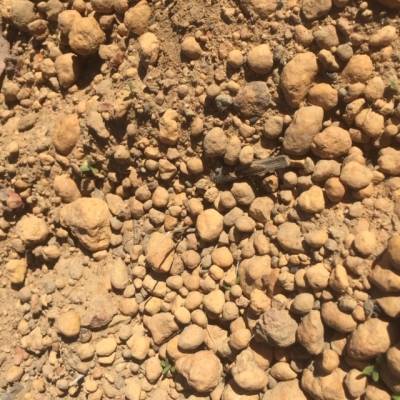 hills gravel